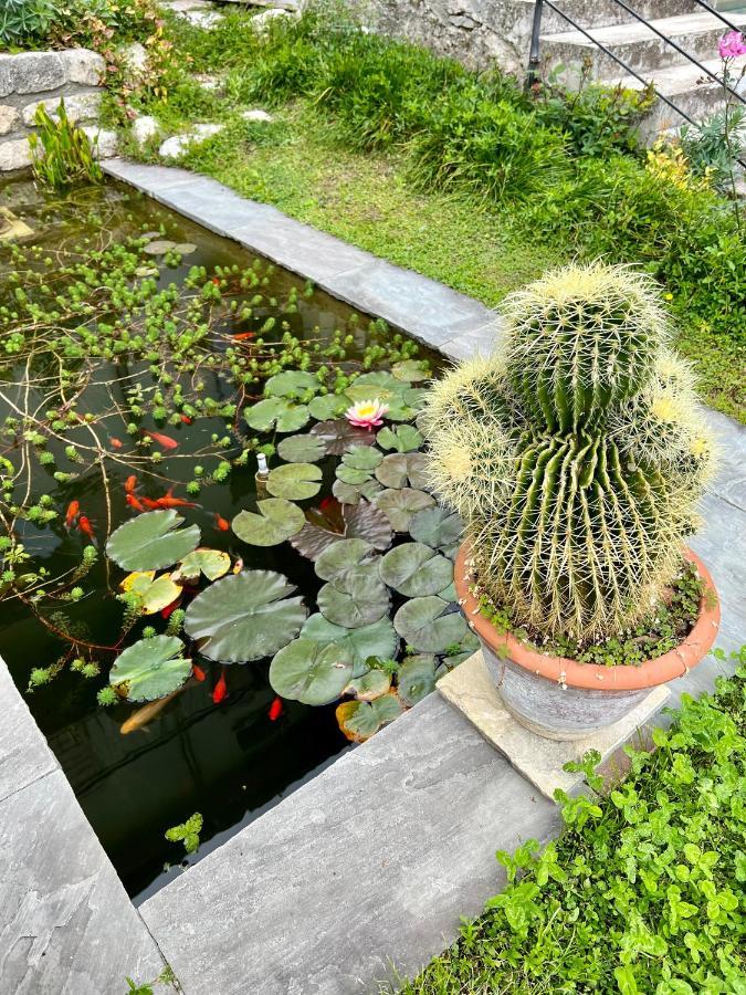 Villa Del Lis Gargnano Eksteriør billede